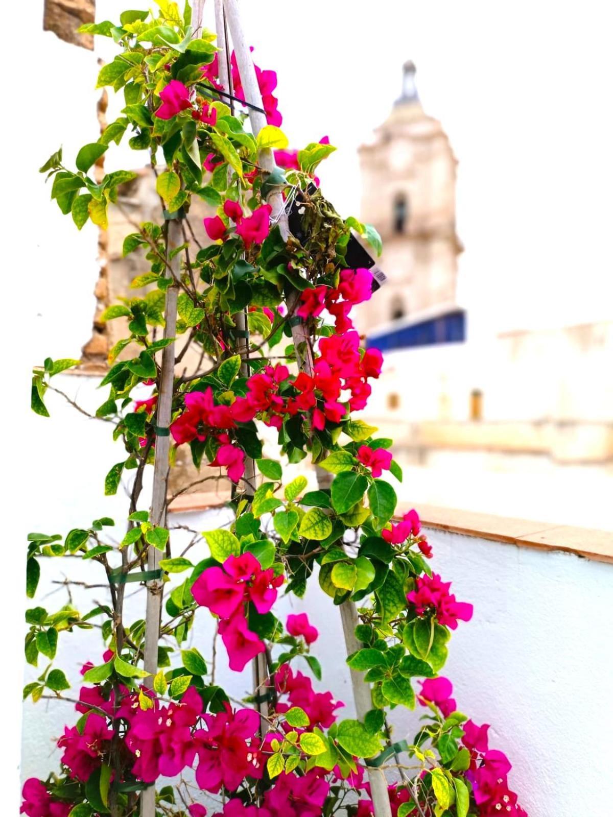 Apartamentos Terrazas De San Juan Malaga Zewnętrze zdjęcie