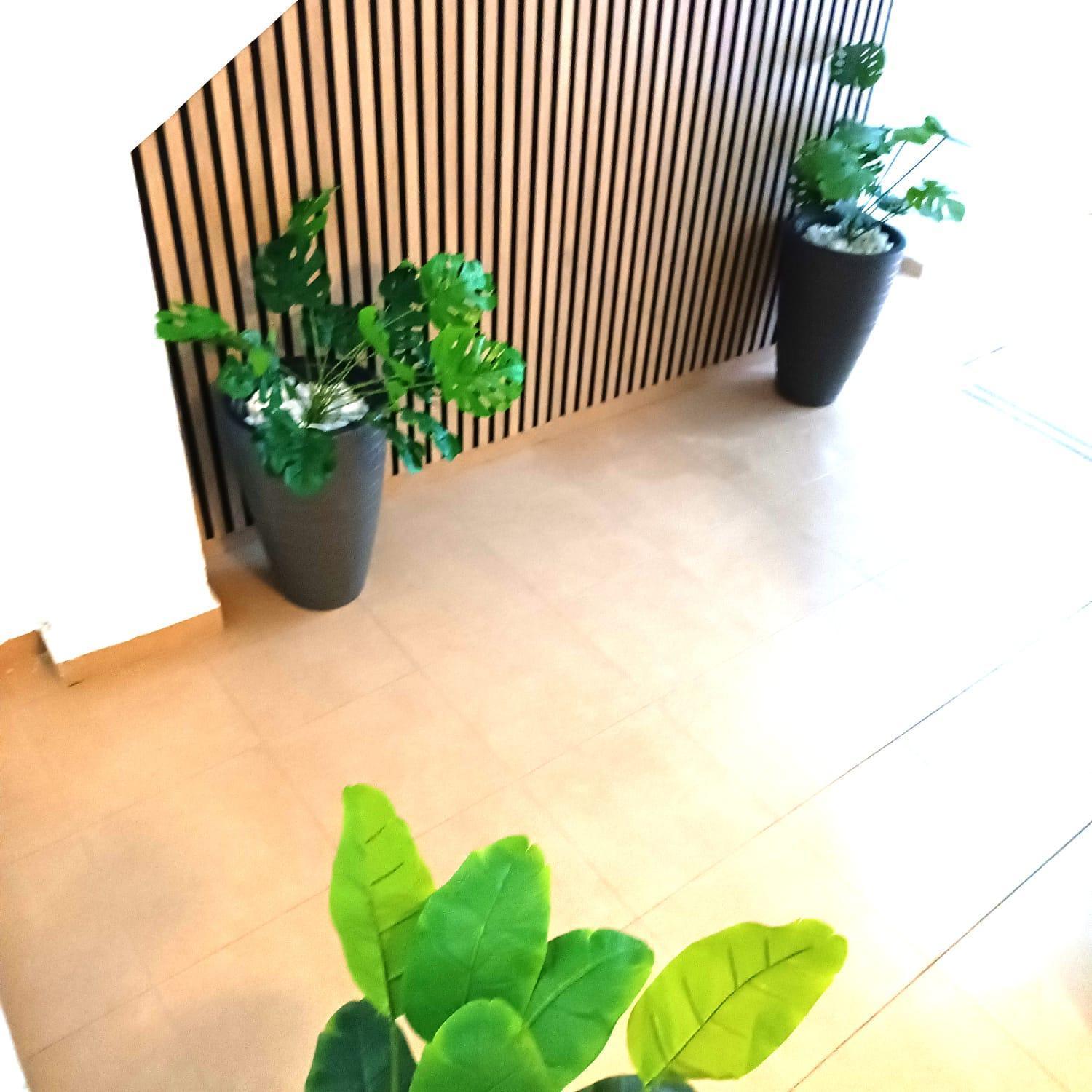 Apartamentos Terrazas De San Juan Malaga Zewnętrze zdjęcie